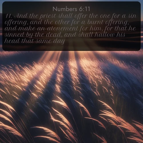 citation biblique : 11. And the priest shall offer the one for a sin offering, and the other for a burnt offering, and make an atonement for him, for that he sinned by the dead, and shall hallow his head that same day.
 sur fond image nature