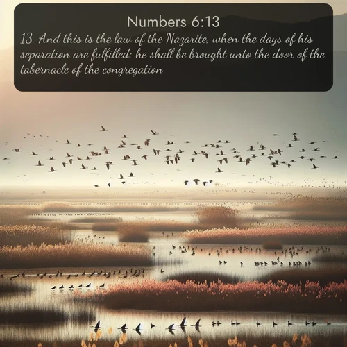 citation biblique : 13. And this is the law of the Nazarite, when the days of his separation are fulfilled: he shall be brought unto the door of the tabernacle of the congregation:
 sur fond image nature