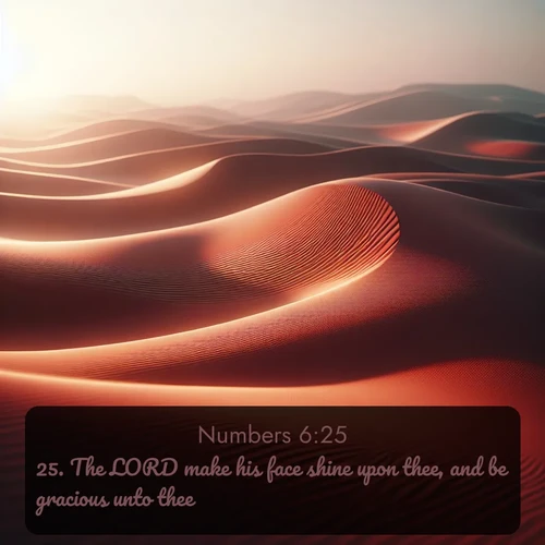 citation biblique : 25. The LORD make his face shine upon thee, and be gracious unto thee:
 sur fond image nature