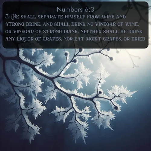 citation biblique : 3. He shall separate himself from wine and strong drink, and shall drink no vinegar of wine, or vinegar of strong drink, neither shall he drink any liquor of grapes, nor eat moist grapes, or dried.
 sur fond image nature