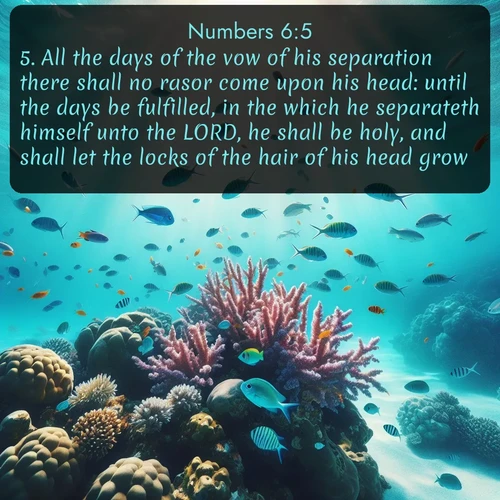 citation biblique : 5. All the days of the vow of his separation there shall no rasor come upon his head: until the days be fulfilled, in the which he separateth himself unto the LORD, he shall be holy, and shall let the locks of the hair of his head grow.
 sur fond image nature
