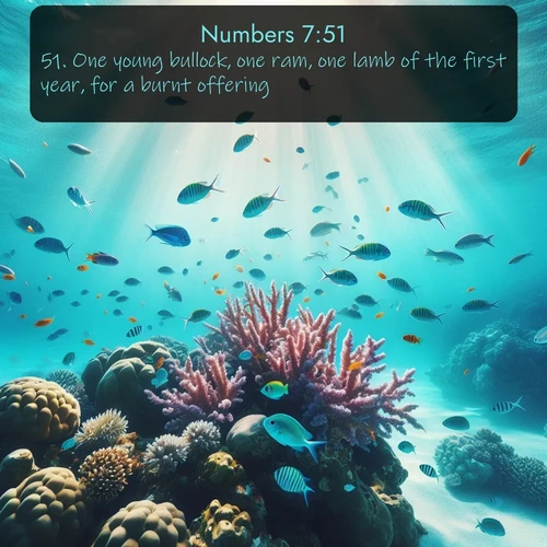 citation biblique : 51. One young bullock, one ram, one lamb of the first year, for a burnt offering:
 sur fond image nature