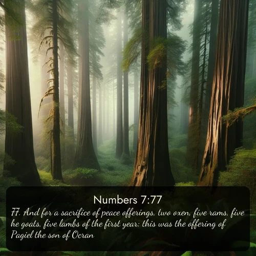 citation biblique : 77. And for a sacrifice of peace offerings, two oxen, five rams, five he goats, five lambs of the first year: this was the offering of Pagiel the son of Ocran.
 sur fond image nature