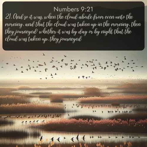 citation biblique : 21. And so it was, when the cloud abode from even unto the morning, and that the cloud was taken up in the morning, then they journeyed: whether it was by day or by night that the cloud was taken up, they journeyed.
 sur fond image nature