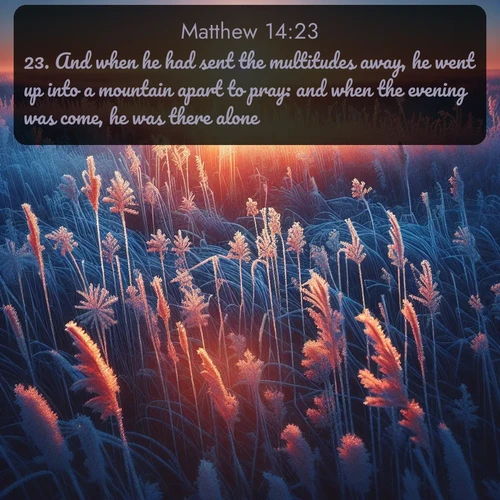KJV Gospel of Matthew  ; image nature: image with the bible verse :And when he had sent the multitudes away, he went up into a mountain apart to pray: and when the evening was come, he was there alone. ; Discover Bible images capturing the splendor of deserts, with golden dunes, vast skies, and peaceful oases. These landscapes highlight the grandeur and serenity of God&#039;s creation. Share verses like KJV Gospel of Matthew 14:23. Current verse is overlayed with the thematic nature scene : Winter sunrise illuminates frost-covered prairie grass. ; 14:23