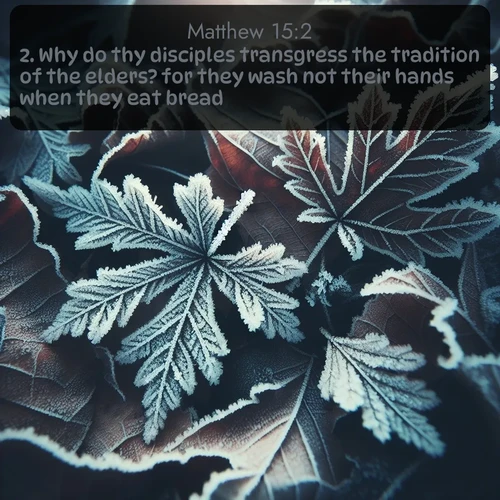 citation biblique : 2. Why do thy disciples transgress the tradition of the elders? for they wash not their hands when they eat bread.
 sur fond image nature