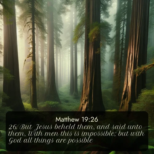 citation biblique : 26. But Jesus beheld them, and said unto them, With men this is impossible; but with God all things are possible.
 sur fond image nature