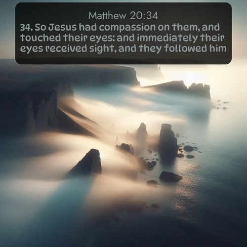 citation biblique : 34. So Jesus had compassion on them, and touched their eyes: and immediately their eyes received sight, and they followed him.
 sur fond image nature