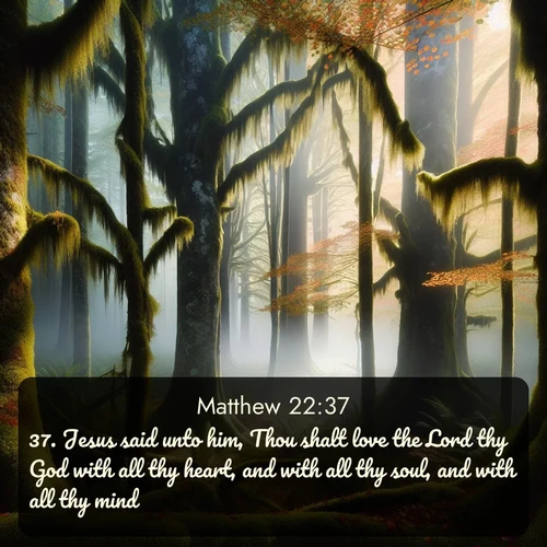 citation biblique : 37. Jesus said unto him, Thou shalt love the Lord thy God with all thy heart, and with all thy soul, and with all thy mind.
 sur fond image nature