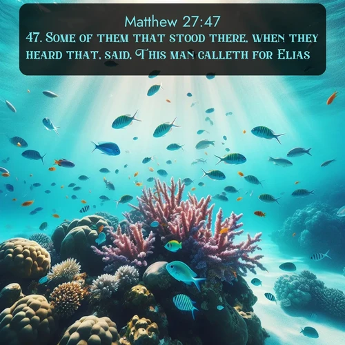 citation biblique : 47. Some of them that stood there, when they heard that, said, This man calleth for Elias.
 sur fond image nature