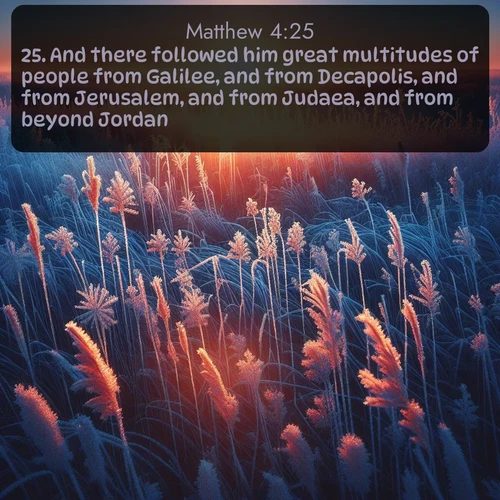 KJV Gospel of Matthew  ; image nature: image with the bible verse :And there followed him great multitudes of people from Galilee, and from Decapolis, and from Jerusalem, and from Judaea, and from beyond Jordan. ; Browse a large collection of Bible verse images with photos showcasing the splendor of nature. Scenes of peaceful rivers, verdant valleys, and radiant skies enhance the inspiring verses. Each image reflects the serenity and joy of God&#039;s creation, with elegant text fonts. Download and share verses such as KJV Gospel of Matthew 4:25. Current verse is overlayed with the thematic nature scene : Winter sunrise illuminates frost-covered prairie grass. ; 4:25