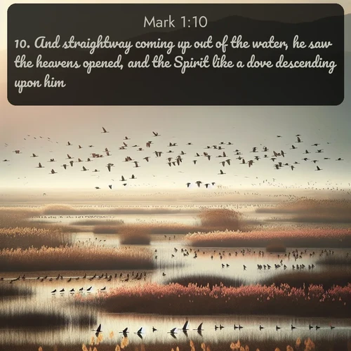citation biblique : 10. And straightway coming up out of the water, he saw the heavens opened, and the Spirit like a dove descending upon him:
 sur fond image nature