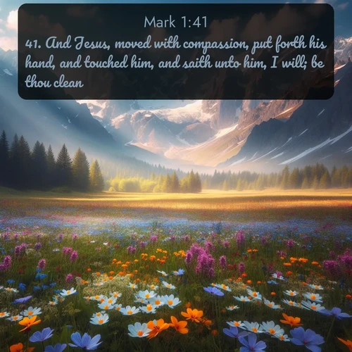 citation biblique : 41. And Jesus, moved with compassion, put forth his hand, and touched him, and saith unto him, I will; be thou clean.
 sur fond image nature