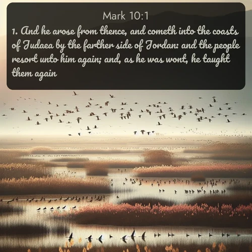 citation biblique : 1. And he arose from thence, and cometh into the coasts of Judaea by the farther side of Jordan: and the people resort unto him again; and, as he was wont, he taught them again.
 sur fond image nature
