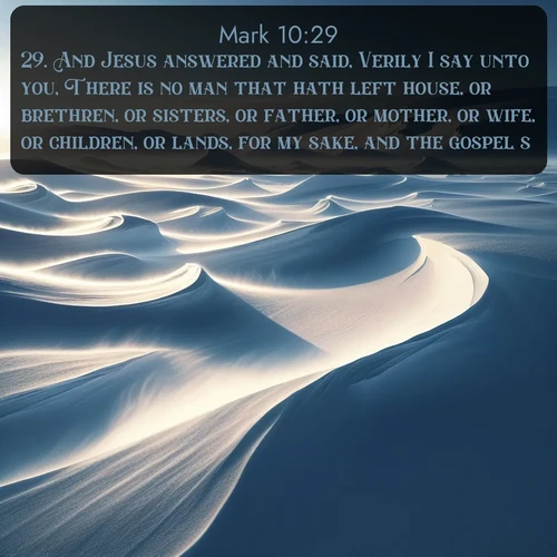 citation biblique : 29. And Jesus answered and said, Verily I say unto you, There is no man that hath left house, or brethren, or sisters, or father, or mother, or wife, or children, or lands, for my sake, and the gospel&#039;s,
 sur fond image nature