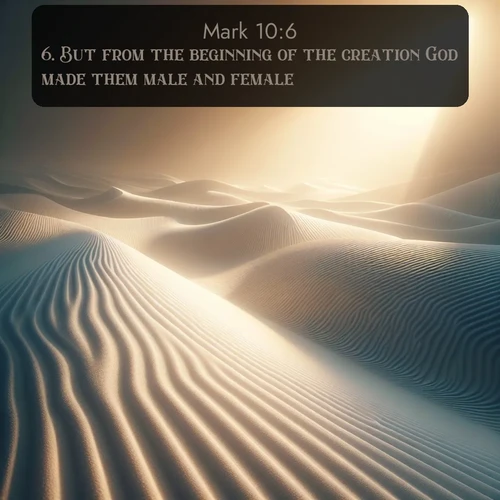 citation biblique : 6. But from the beginning of the creation God made them male and female.
 sur fond image nature
