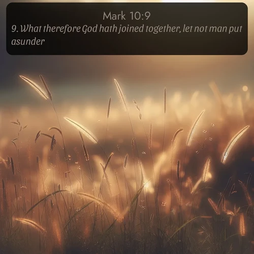 citation biblique : 9. What therefore God hath joined together, let not man put asunder.
 sur fond image nature