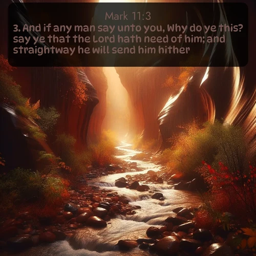 citation biblique : 3. And if any man say unto you, Why do ye this? say ye that the Lord hath need of him; and straightway he will send him hither.
 sur fond image nature