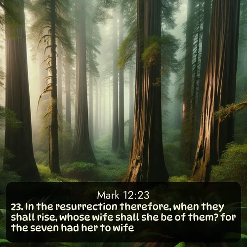 citation biblique : 23. In the resurrection therefore, when they shall rise, whose wife shall she be of them? for the seven had her to wife.
 sur fond image nature