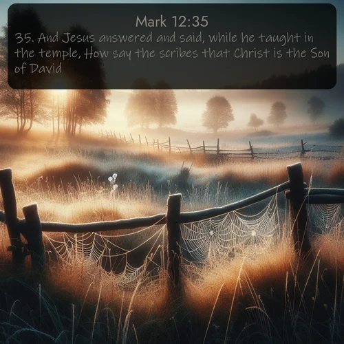 citation biblique : 35. And Jesus answered and said, while he taught in the temple, How say the scribes that Christ is the Son of David?
 sur fond image nature