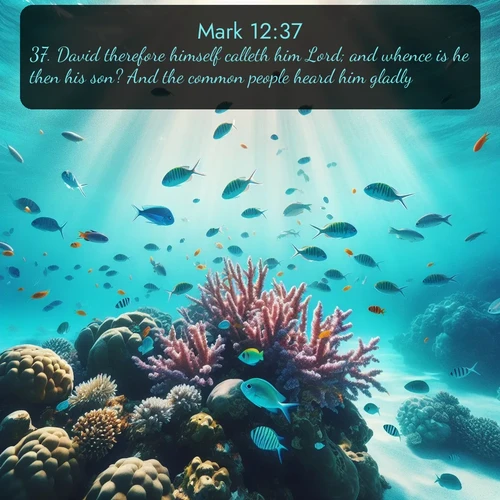 citation biblique : 37. David therefore himself calleth him Lord; and whence is he then his son? And the common people heard him gladly.
 sur fond image nature