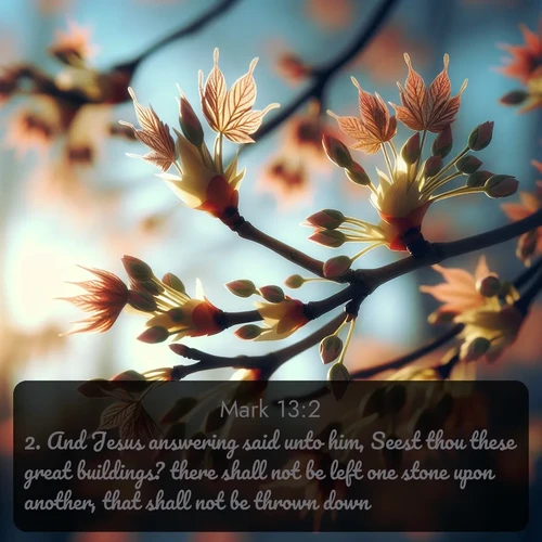 citation biblique : 2. And Jesus answering said unto him, Seest thou these great buildings? there shall not be left one stone upon another, that shall not be thrown down.
 sur fond image nature