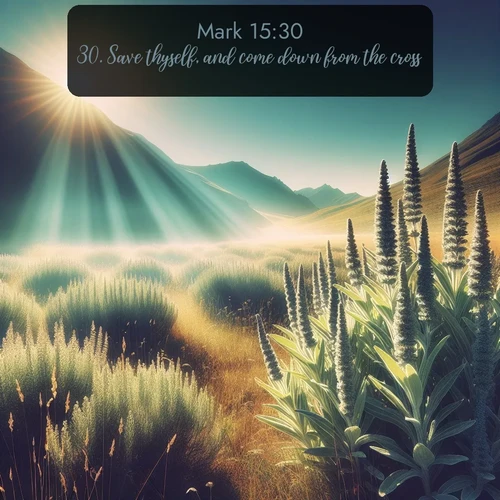 citation biblique : 30. Save thyself, and come down from the cross.
 sur fond image nature