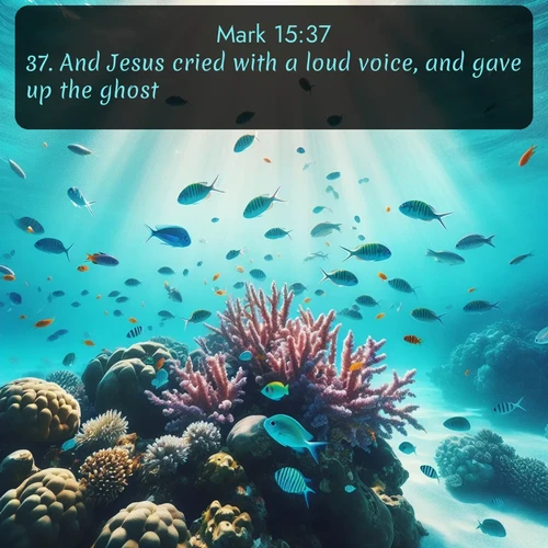 citation biblique : 37. And Jesus cried with a loud voice, and gave up the ghost.
 sur fond image nature