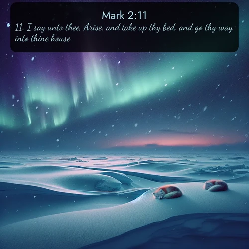 KJV Gospel of Mark 2:11 overlaying nature image scene: Northern lights dance across the frozen tundra in ribbons of green and purple. Snow falls silently on sleeping arctic foxes.;11. I say unto thee, Arise, and take up thy bed, and go thy way into thine house.