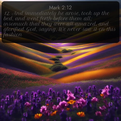 citation biblique : 12. And immediately he arose, took up the bed, and went forth before them all; insomuch that they were all amazed, and glorified God, saying, We never saw it on this fashion.
 sur fond image nature
