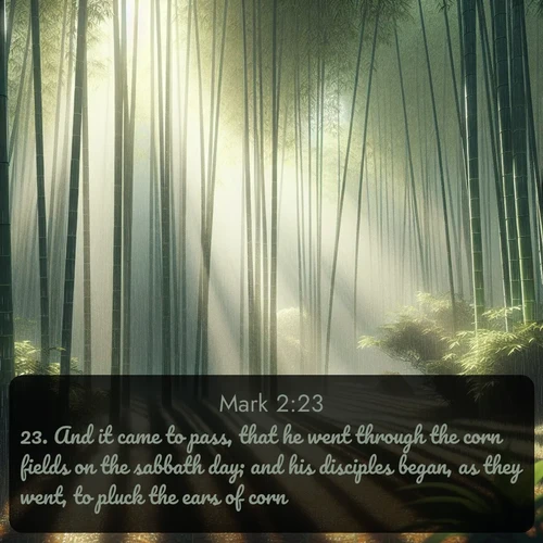 KJV Gospel of Mark 2:23 overlaying nature image scene: Bamboo forests cast striped shadows while a gentle rain patters on broad leaves.;23. And it came to pass, that he went through the corn fields on the sabbath day; and his disciples began, as they went, to pluck the ears of corn.