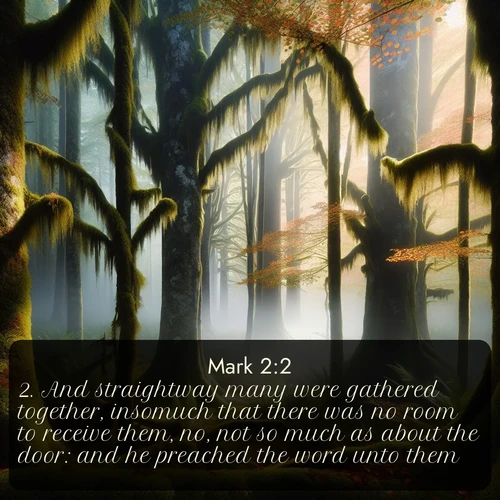 KJV 41 2:2