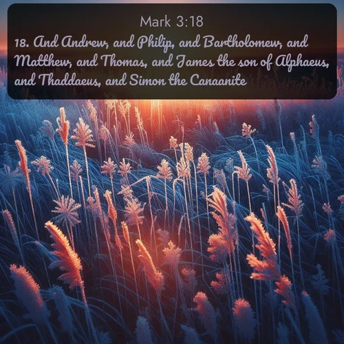 citation biblique : 18. And Andrew, and Philip, and Bartholomew, and Matthew, and Thomas, and James the son of Alphaeus, and Thaddaeus, and Simon the Canaanite,
 sur fond image nature