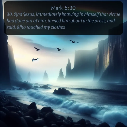 citation biblique : 30. And Jesus, immediately knowing in himself that virtue had gone out of him, turned him about in the press, and said, Who touched my clothes?
 sur fond image nature