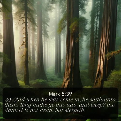 citation biblique : 39. And when he was come in, he saith unto them, Why make ye this ado, and weep? the damsel is not dead, but sleepeth.
 sur fond image nature