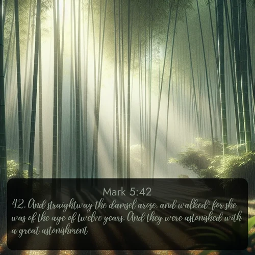 citation biblique : 42. And straightway the damsel arose, and walked; for she was of the age of twelve years. And they were astonished with a great astonishment.
 sur fond image nature