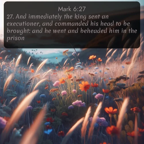 citation biblique : 27. And immediately the king sent an executioner, and commanded his head to be brought: and he went and beheaded him in the prison,
 sur fond image nature