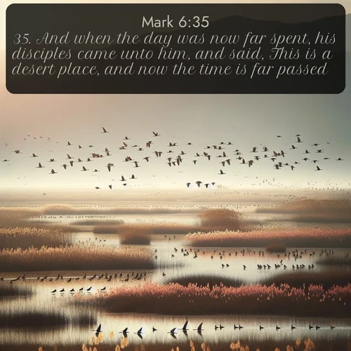 citation biblique : 35. And when the day was now far spent, his disciples came unto him, and said, This is a desert place, and now the time is far passed:
 sur fond image nature