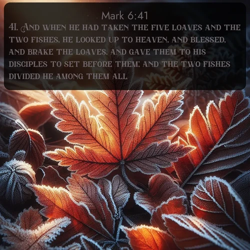 KJV Gospel of Mark  ; image nature: image with the bible verse :And when he had taken the five loaves and the two fishes, he looked up to heaven, and blessed, and brake the loaves, and gave them to his disciples to set before them; and the two fishes divided he among them all. ; Explore an exceptional collection of Bible verse images accompanied by photos of nature, showcasing snowy mountains, serene forests, and still lakes. These images feature luminous tones and varied fonts to bring serenity and inspiration. Share uplifting verses like KJV Gospel of Mark 6:41. Current verse is overlayed with the thematic nature scene : Autumn frost rims fallen leaves with crystal. ; 6:41