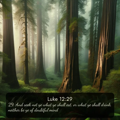 KJV Gospel of Luke 12:29 overlaying nature image scene: Coastal redwoods disappear into the fog high above a fern grove.;29. And seek not ye what ye shall eat, or what ye shall drink, neither be ye of doubtful mind.