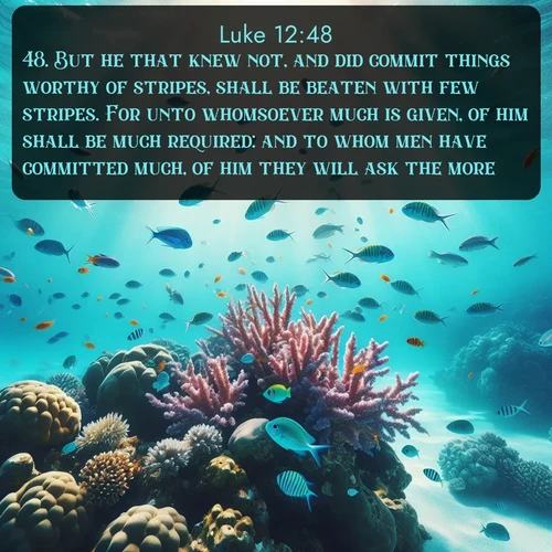 KJV Gospel of Luke 12:48 overlaying nature image scene: Tropical fish dart through coral reefs in crystal-clear waters.;48. But he that knew not, and did commit things worthy of stripes, shall be beaten with few stripes. For unto whomsoever much is given, of him shall be much required: and to whom men have committed much, of him they will ask the more.
