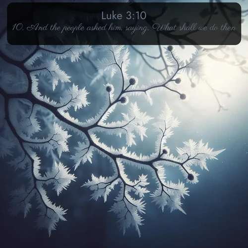 citation biblique : 10. And the people asked him, saying, What shall we do then?
 sur fond image nature