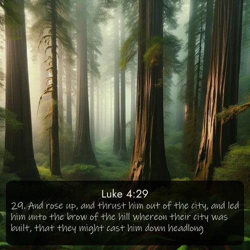 KJV Gospel of Luke 4:29 overlaying nature image scene: Coastal redwoods disappear into the fog high above a fern grove.;29. And rose up, and thrust him out of the city, and led him unto the brow of the hill whereon their city was built, that they might cast him down headlong.