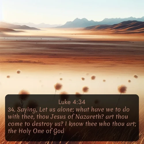 citation biblique : 34. Saying, Let us alone; what have we to do with thee, thou Jesus of Nazareth? art thou come to destroy us? I know thee who thou art; the Holy One of God.
 sur fond image nature