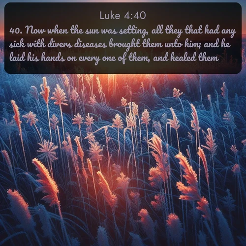citation biblique : 40. Now when the sun was setting, all they that had any sick with divers diseases brought them unto him; and he laid his hands on every one of them, and healed them.
 sur fond image nature