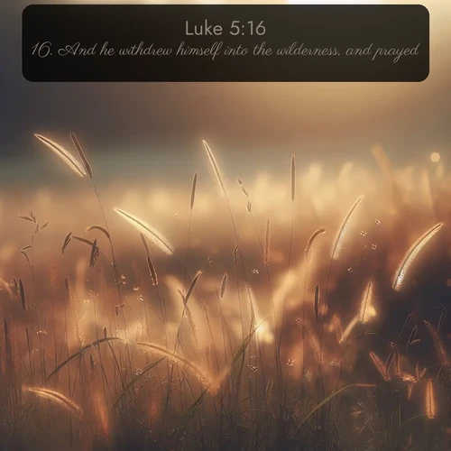 KJV Gospel of Luke 5:16 overlaying nature image scene: Summer heat brings out cricket songs in meadow grass.;16. And he withdrew himself into the wilderness, and prayed.
