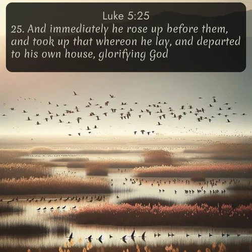 KJV Gospel of Luke 5:25 overlaying nature image scene: Spring migration fills marshlands with calling birds.;25. And immediately he rose up before them, and took up that whereon he lay, and departed to his own house, glorifying God.