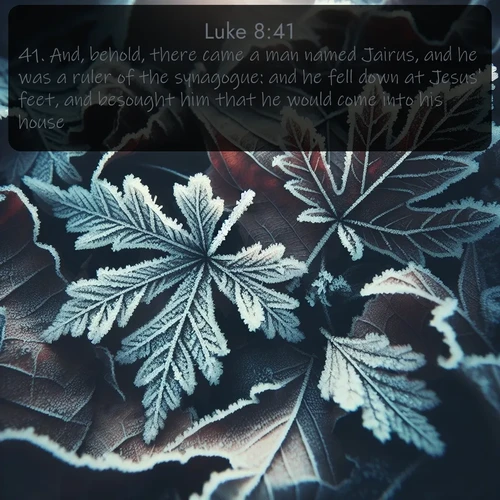 KJV Gospel of Luke  ; image nature: image with the bible verse :And, behold, there came a man named Jairus, and he was a ruler of the synagogue: and he fell down at Jesus&#039; feet, and besought him that he would come into his house: ; Browse our selection of stunning Bible verse images featuring unique natural scenes like fiery autumn forests, serene meadows, and starlit skies. Download and share verses like KJV Gospel of Luke 8:41 for free. Current verse is overlayed with the thematic nature scene : Winter frost creates delicate patterns on fallen leaves. ; 8:41