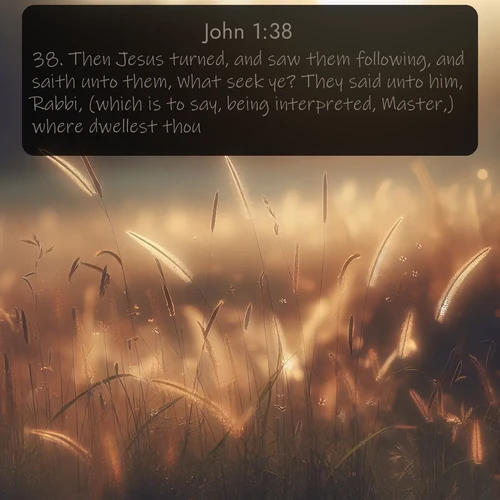 citation biblique : 38. Then Jesus turned, and saw them following, and saith unto them, What seek ye? They said unto him, Rabbi, (which is to say, being interpreted, Master,) where dwellest thou?
 sur fond image nature