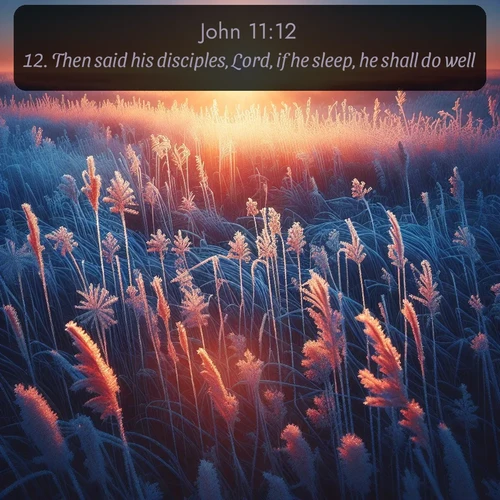 citation biblique : 12. Then said his disciples, Lord, if he sleep, he shall do well.
 sur fond image nature
